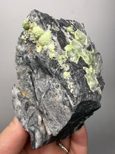 Load image into Gallery viewer, High-Grade Green Wavellite Collectors Specimen - Radiating Botryoidal Crystal Formation - Arkansas, USA
