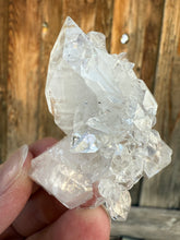 Load image into Gallery viewer, Clear Gem Apophyllite Cluster • Maharashtra, India
