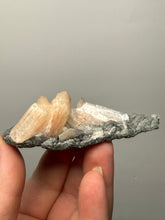 Load image into Gallery viewer, Pink Stilbite Druzy on Botryoidal Black Chalcedony | India | High-Grade Mineral Collector Specimen
