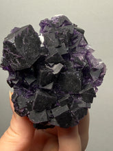 Load image into Gallery viewer, High-Grade Rare Purple-Green-Blue Cubic Fluorite | Cabinet Mineral Collector Specimen | Zhejiang Province, China
