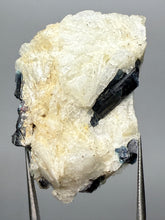 Load image into Gallery viewer, Blue Indicolite &amp; Mint Green Tourmaline on Matrix – Pegmatite Mineral Specimen from Pakistan
