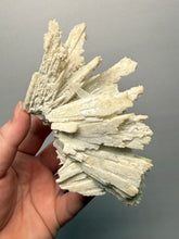 Load image into Gallery viewer, Rare Natural Anhydrite Collector Mineral Specimen | Brazil
