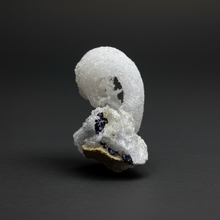 Load image into Gallery viewer, RARE COMBO Moroccan Ram’s Horn Selenite (Gypsum) with Purple Fluorite Display Specimen
