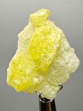 Load image into Gallery viewer, Vibrant Yellow Brucite Thumbnail Mineral Specimen | Collector Crystal from Killa Saifullah District in Balochistan Province, Pakistan
