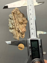 Load image into Gallery viewer, Chalcedony Quartz Rose Agate Collector Mineral Specimen – Morocco
