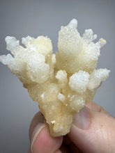 Load image into Gallery viewer, High-Grade Coral Aragonite Crystal Specimen – Wenshan Mine, Yunnan, China
