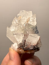 Load image into Gallery viewer, Rare Red Apophyllite Crystal Cluster – High Grade Collector Mineral Specimen | India
