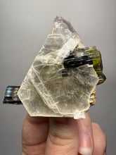 Load image into Gallery viewer, Blue Cap &amp; Green Cap Dark Green Stak Nala Tourmaline on Cleavelandite Matrix – Haramosh Mountains, Pakistan
