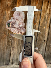 Load image into Gallery viewer, Red Phantom Gem Apophyllite Cluster • Maharashtra, India
