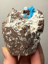 Load image into Gallery viewer, Rare Electric Blue Cavansite on Druzy Matrix – Collector Mineral Specimen | India
