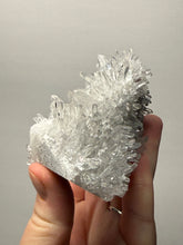 Load image into Gallery viewer, High-Grade Chrysanthemum Quartz (Needle Quartz) Spray Cluster | Jiangxi, China
