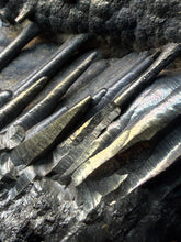 Load image into Gallery viewer, Botryoidal Stalactite Goethite (Iron Oxyhydroxide) Display Specimen | Turkey
