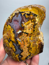 Load image into Gallery viewer, MUSEUM Turkish Agate with Intriguing Inclusions – Great Sticks, Banding and Eyes - Turkey

