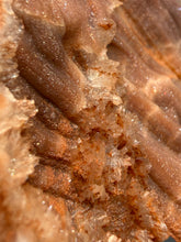 Load image into Gallery viewer, Chalcedony Quartz Rose Agate Collector Mineral Specimen – Morocco
