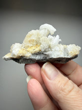 Load image into Gallery viewer, Moroccan Ram’s Horn Selenite (Gypsum) Crystal Display Specimen
