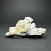 Load image into Gallery viewer, Moroccan Ram’s Horn Selenite (Gypsum) Crystal Display Specimen
