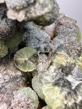 Load image into Gallery viewer, High-Grade Green Wavellite Collectors Specimen - Radiating Botryoidal Crystal Formation - Arkansas, USA
