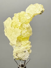 Load image into Gallery viewer, Vibrant Yellow Brucite Thumbnail Mineral Specimen | Collector Crystal from Killa Saifullah District in Balochistan Province, Pakistan
