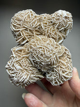 Load image into Gallery viewer, Desert Rose Selenite (Gypsum) — Mineral Display Specimen | Mexico
