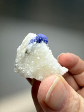 Load image into Gallery viewer, Afghan Lazurite Specimen | Deep Blue Lapis-Grade Crystal on Matrix | Collector Display Mineral
