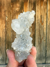 Load image into Gallery viewer, Clear Gem Apophyllite Encrusted Stalactite • Maharashtra, India
