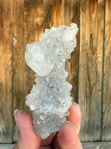 Clear Gem Apophyllite Encrusted Stalactite • Maharashtra, India