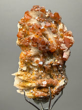 Load image into Gallery viewer, Natural Vanadinite on Matrix | Collector Mineral Specimen | Morocco
