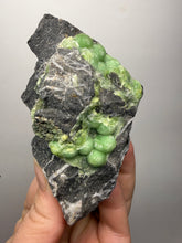 Load image into Gallery viewer, High-Grade Green Wavellite Collectors Specimen - Radiating Botryoidal Crystal Formation - Arkansas, USA
