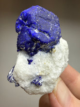 Load image into Gallery viewer, Afghan Lazurite Specimen | Deep Blue Lapis-Grade Crystal on Matrix | Collector Display Mineral
