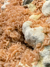 Load image into Gallery viewer, Peach Druzy Heulandite on Matrix – India | Rare Peach Crystal Mineral Specimen for Collectors &amp; Display
