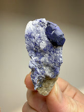 Load image into Gallery viewer, Afghan Lazurite Specimen | Deep Blue Lapis-Grade Crystal on Matrix | Collector Display Mineral
