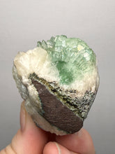 Load image into Gallery viewer, Green Radial “Disco Ball” Apophyllite | Maharashtra, India
