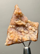 Load image into Gallery viewer, “Goblin Chalcedony” Pink and Red Druzy Botryoidal Stalactites — Tichka Massif, High Atlas, Morocco
