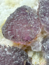Load image into Gallery viewer, Etched Botryoidal Lavender Fluorite on Quartz Matrix  Collector Mineral Specimen — Hunan, China
