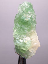 Load image into Gallery viewer, Green Radial “Disco Ball” Apophyllite | Maharashtra, India
