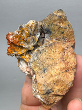 Load image into Gallery viewer, Natural Vanadinite on Matrix | Collector Mineral Specimen | Morocco
