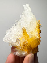 Load image into Gallery viewer, High Grade Golden Iron-Stained Himalayan Quartz Cluster | Rare Pakistan Mineral Specimen | Collector Display Crystal

