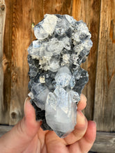 Load image into Gallery viewer, Clear Gem Apophyllite Cluster on black matrix • Maharashtra, India
