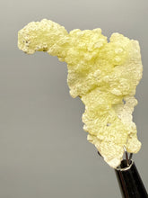 Load image into Gallery viewer, Vibrant Yellow Brucite Thumbnail Mineral Specimen | Collector Crystal from Killa Saifullah District in Balochistan Province, Pakistan
