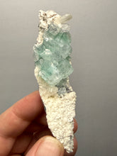 Load image into Gallery viewer, High-Grade Gemmy Green Apophyllite on White Stilbite  | Deccan Traps, Maharashtra, India
