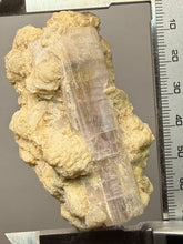 Load image into Gallery viewer, Pink Apatite on Matrix – Collector Mineral Specimen from Pakistan
