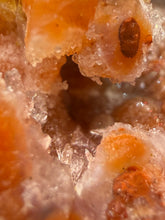 Load image into Gallery viewer, “Goblin Chalcedony” Pink &amp; Orange Druzy Botryoidal Stalactites — Tichka Massif, High Atlas, Morocco
