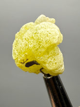 Load image into Gallery viewer, Vibrant Yellow Brucite Thumbnail Mineral Specimen | Collector Crystal from Killa Saifullah District in Balochistan Province, Pakistan
