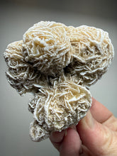 Load image into Gallery viewer, Desert Rose Selenite (Gypsum) — Mineral Display Specimen | Mexico

