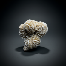 Load image into Gallery viewer, Desert Rose Selenite (Gypsum) — Mineral Display Specimen | Mexico
