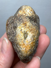 Load image into Gallery viewer, Premium Sumatra Agate (Banded Chalcedony) Display Specimen | Indonesia
