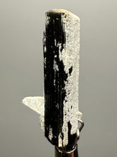 Load image into Gallery viewer, Cleavelandite Encrusted Dark Green Stak Nala Tourmaline – Haramosh Mountains, Pakistan | Thumbnail Specimen

