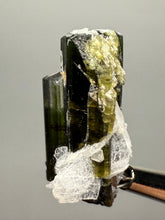 Load image into Gallery viewer, Green Cap Stak Nala Tourmaline with Cleavelandite – Haramosh Mountains, Pakistan | Thumbnail Specimen
