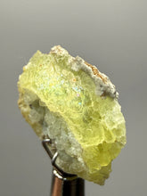 Load image into Gallery viewer, Vibrant Yellow Brucite Thumbnail Mineral Specimen | Collector Crystal from Killa Saifullah District in Balochistan Province, Pakistan

