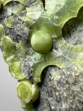Load image into Gallery viewer, High-Grade Green Wavellite Collectors Specimen - Radiating Botryoidal Crystal Formation - Arkansas, USA
